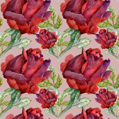 Çiçek Bahçe güller