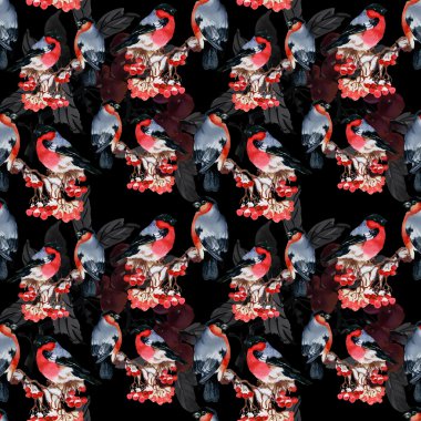 Karlı şube kuşlarda şakrak kuşu