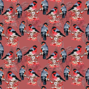 Karlı şube kuşlarda şakrak kuşu