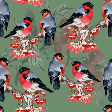 Karlı şube kuşlarda şakrak kuşu