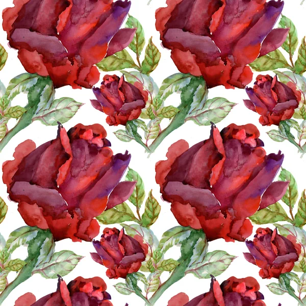 Çiçek Bahçe güller