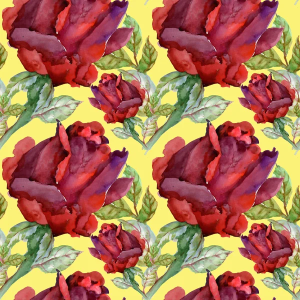 Çiçek Bahçe güller