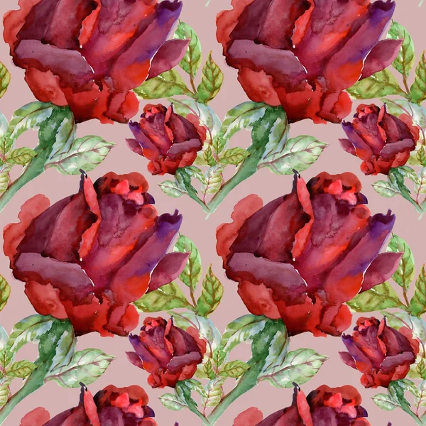 Çiçek Bahçe güller