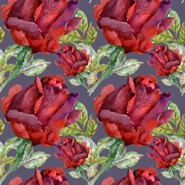 Çiçek Bahçe güller