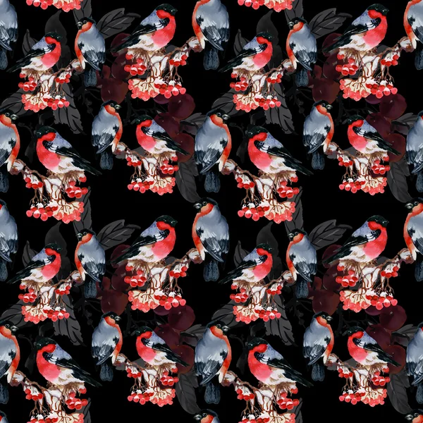 Karlı şube kuşlarda şakrak kuşu