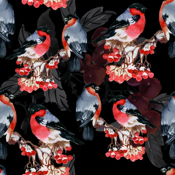 Бульбашкові птахи на засніженій гілці — стокове фото