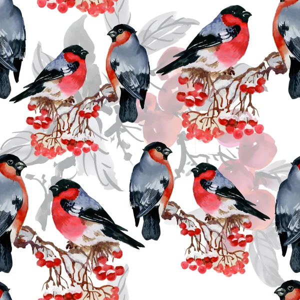 Karlı şube kuşlarda şakrak kuşu