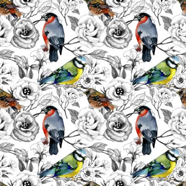 Şakrak kuşu kuşlar ve titmouses