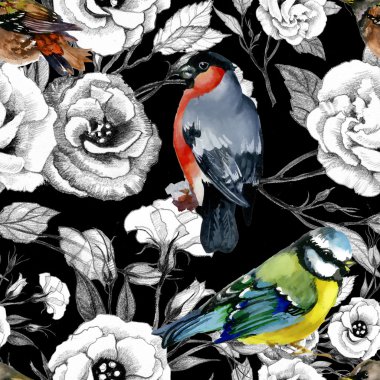 Şakrak kuşu ve baştankara kuşları