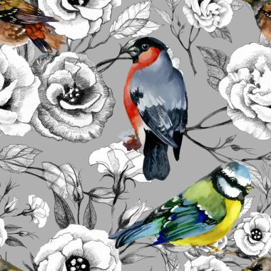 Şakrak kuşu ve baştankara kuşları