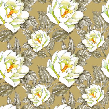 Bahçe gül tek renkli çiçekler