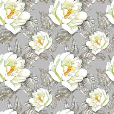 Bahçe gül tek renkli çiçekler