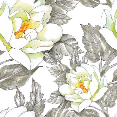 Bahçe gül tek renkli çiçekler