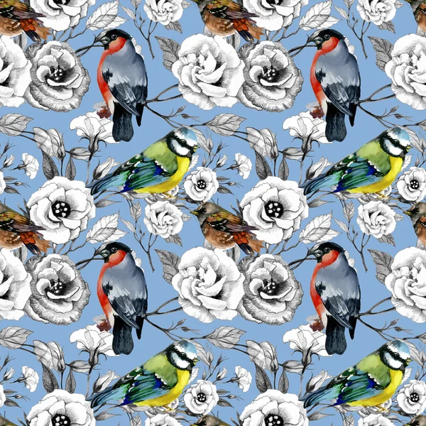 Bullfinch birds and titmouses