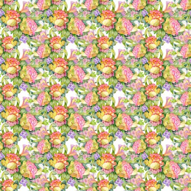 Bahçe çiçek açan çiçekler