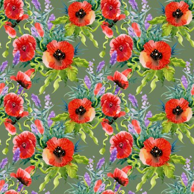 Bahçe çiçek açan haşhaş çiçekler