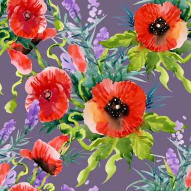 Bahçe çiçek açan haşhaş çiçekler