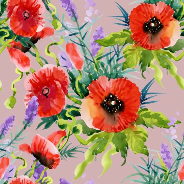 Bahçe çiçek açan haşhaş çiçekler