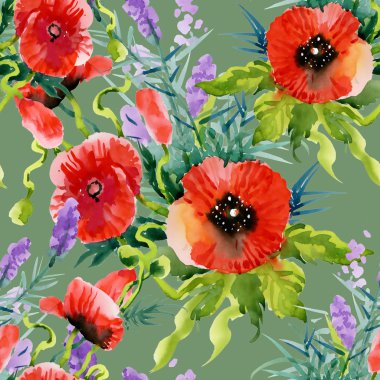 Bahçe çiçek açan haşhaş çiçekler