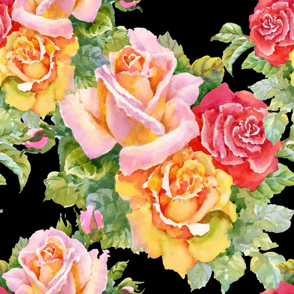 Garden blooming roses flowers — Stock Photo, Image