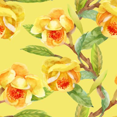 Bahçe çiçek sarı gorse çiçekler