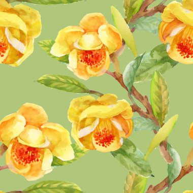 Bahçe çiçek sarı gorse çiçekler