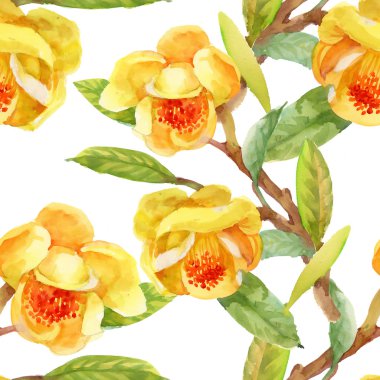 Bahçe çiçek sarı gorse çiçekler