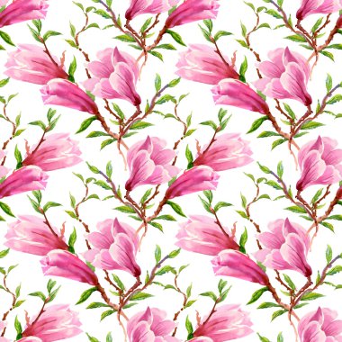 Çiçek açan Manolya çiçek