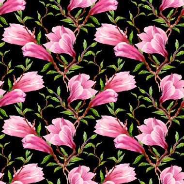 Çiçek açan Manolya çiçek