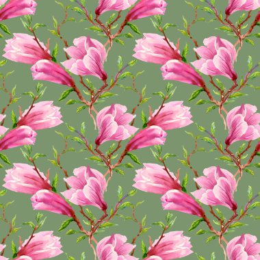 Çiçek açan Manolya çiçek