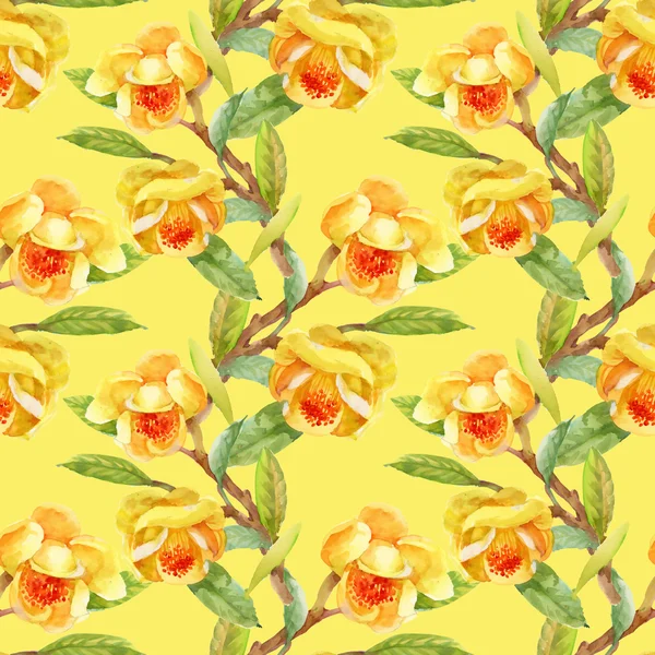 Virágok virágzó sárga gorse — Stock Fotó