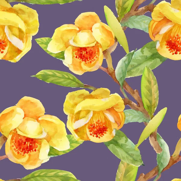 Giardino fioritura fiori gialli ginestra — Foto Stock