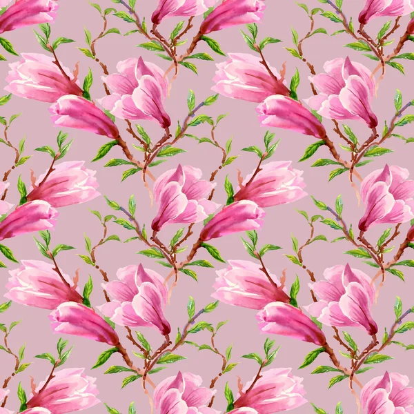 Flores florecientes de magnolia — Foto de Stock