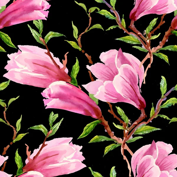 Ανθισμένα λουλούδια magnolia — Φωτογραφία Αρχείου