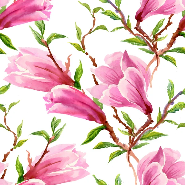 Kvetoucí magnólie květiny — Stock fotografie