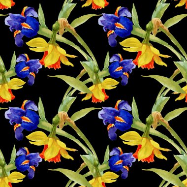 Bahçe çiçek açan Iris çiçekler