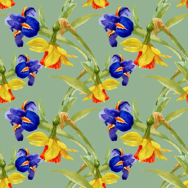 Tuin bloeiende iris bloemen — Stockfoto