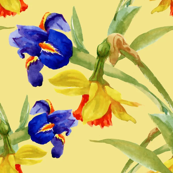 Garten blühende Irisblumen — Stockfoto
