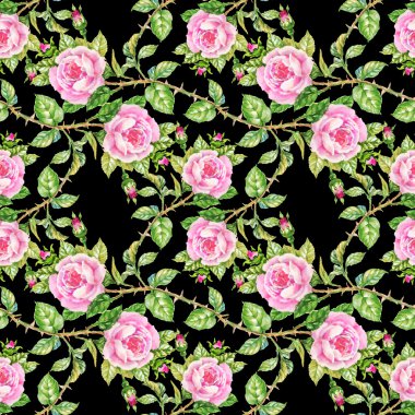 çiçek açan güller çiçek deseni