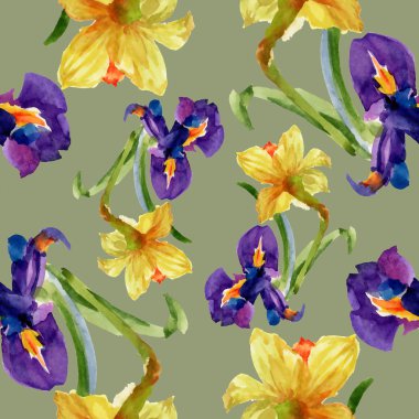 İris ve Nergis çiçekleri