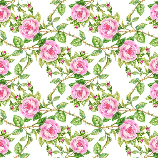Blühende Rosen Blumenmuster — Stockfoto
