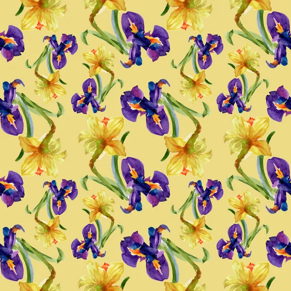 Iris und Narzissenblüten — Stockfoto