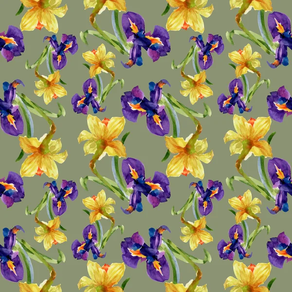 Fiori di iris e narciso — Foto Stock