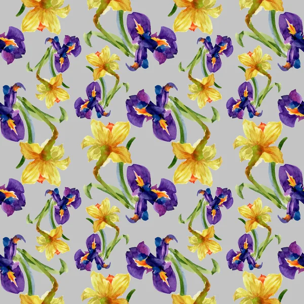 Fiori di iris e narciso — Foto Stock