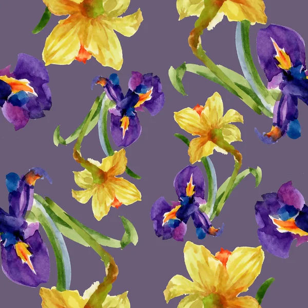 Iris and narcissus flowers — Stock Photo, Image