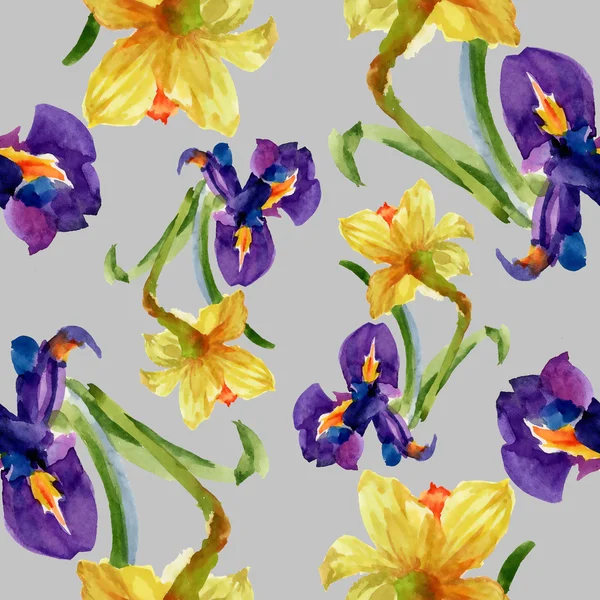 Iris and narcissus flowers — Stock Photo, Image