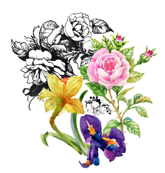 Narcissus, irises and roses illustration — стоковое фото