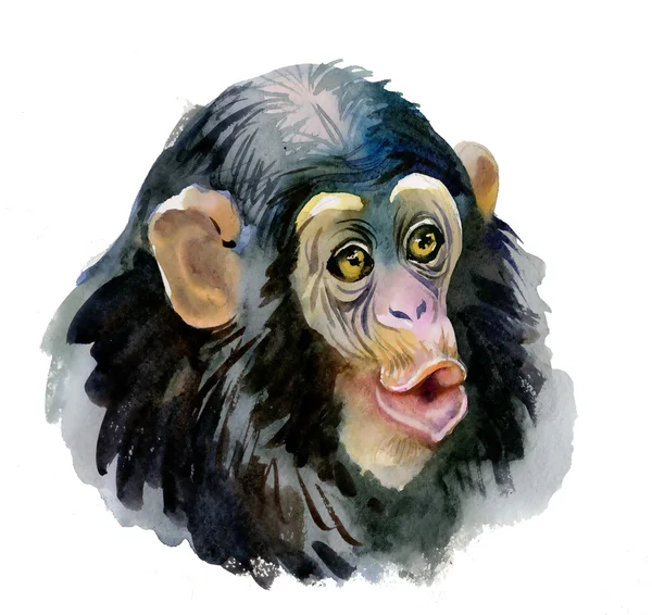 80歳自筆】水墨画・墨絵・動物画・猿 かゆく 80歳自筆】水墨画・墨絵・動物画・猿 かゆく