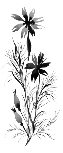 Ilustrace černobílé chrpy — Stock fotografie