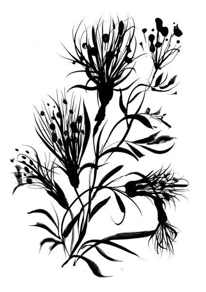 Monochrome cornflowers illustration — Stock Photo, Image